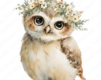 Bloemkroonuil clipartbundel | 21 png-aquarel uil PNG, schattige bosdieren clipart, commercieel gebruik