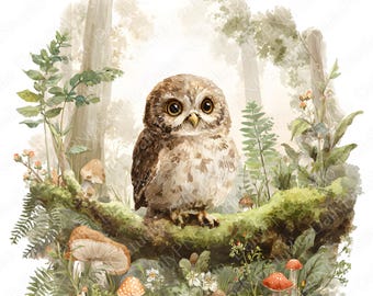 Bosuil clipartbundel | 10 png-aquarel uil PNG, schattige bosuil clipart, bos dieren illustratie, commercieel gebruik