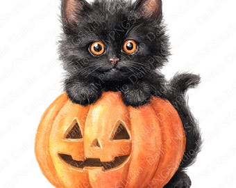 Jack O'Lantern kat clipartbundel | 25 png-aquarel kat png, schattige halloween kat clipart, pompoen kat illustratie, commercieel gebruik