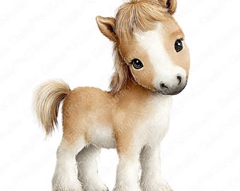 Clipartset babypony | 16 png-bundel, schattige pony aquarel clipart, babypaard png, commercieel gebruik