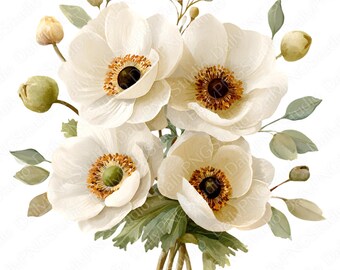 Pacchetto di clipart di anemoni avorio / 20 PNG di anemoni ad acquerello, clipart floreali color crema, illustrazione floreale elegante, uso commerciale
