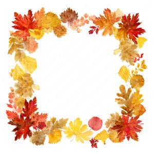 May include: A square frame composed of watercolor autumn leaves in shades of vibrant red, burnt orange, golden yellow, and brown. The foliage includes various maple, oak, and birch leaf shapes arranged to create an open center for text or images.