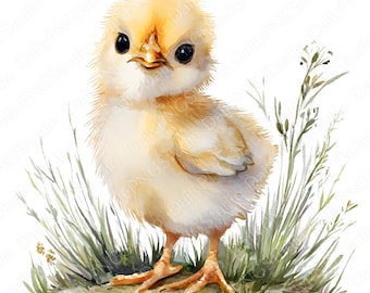 Clipartbundel babykuiken | 20 png-aquarel kuiken png, schattige baby kip clipart, boerderijdieren illustratie, commercieel gebruik