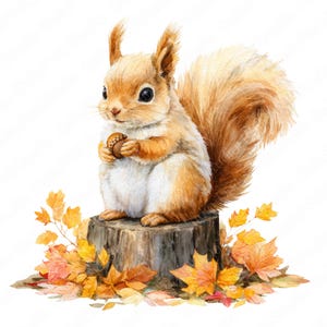 Puede incluir: Una ilustración en acuarela de una ardilla de color marrón claro con una cola tupida sentada sobre un tocón de árbol gris oscuro. La ardilla sostiene una pequeña bellota marrón en sus patas delanteras. La base del tocón está rodeada de hojas otoñales.