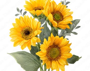 Zonnebloem clipartbundel | 20 png-aquarel zonnebloem png, bloemen clipart, zomerbloem illustratie, commercieel gebruik