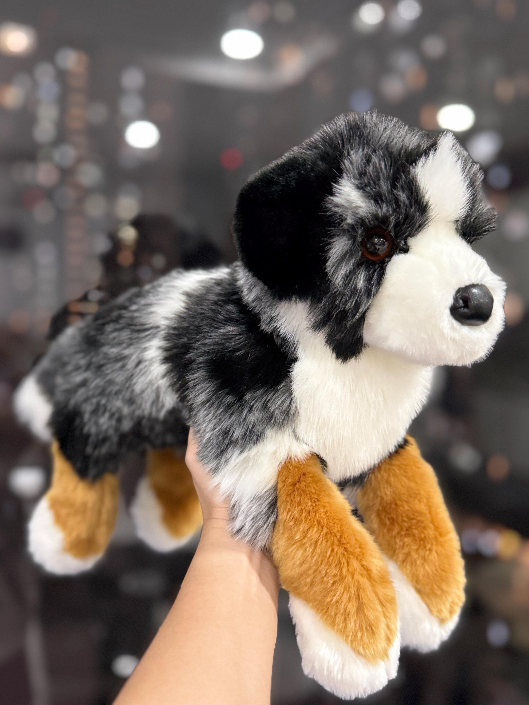 Douglas Maizie Australian Shepherd - Etsy