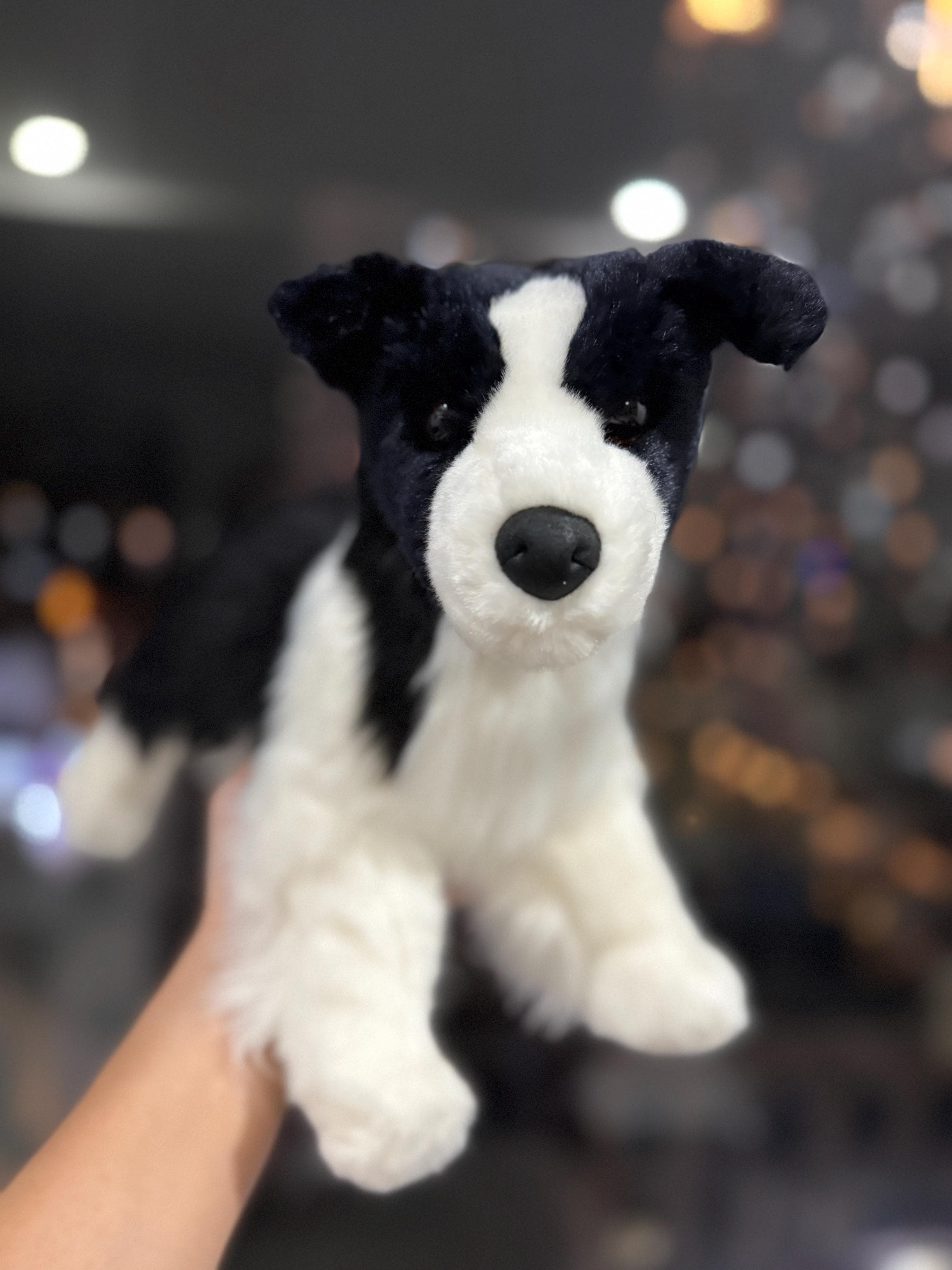 Douglas dog - Etsy 日本