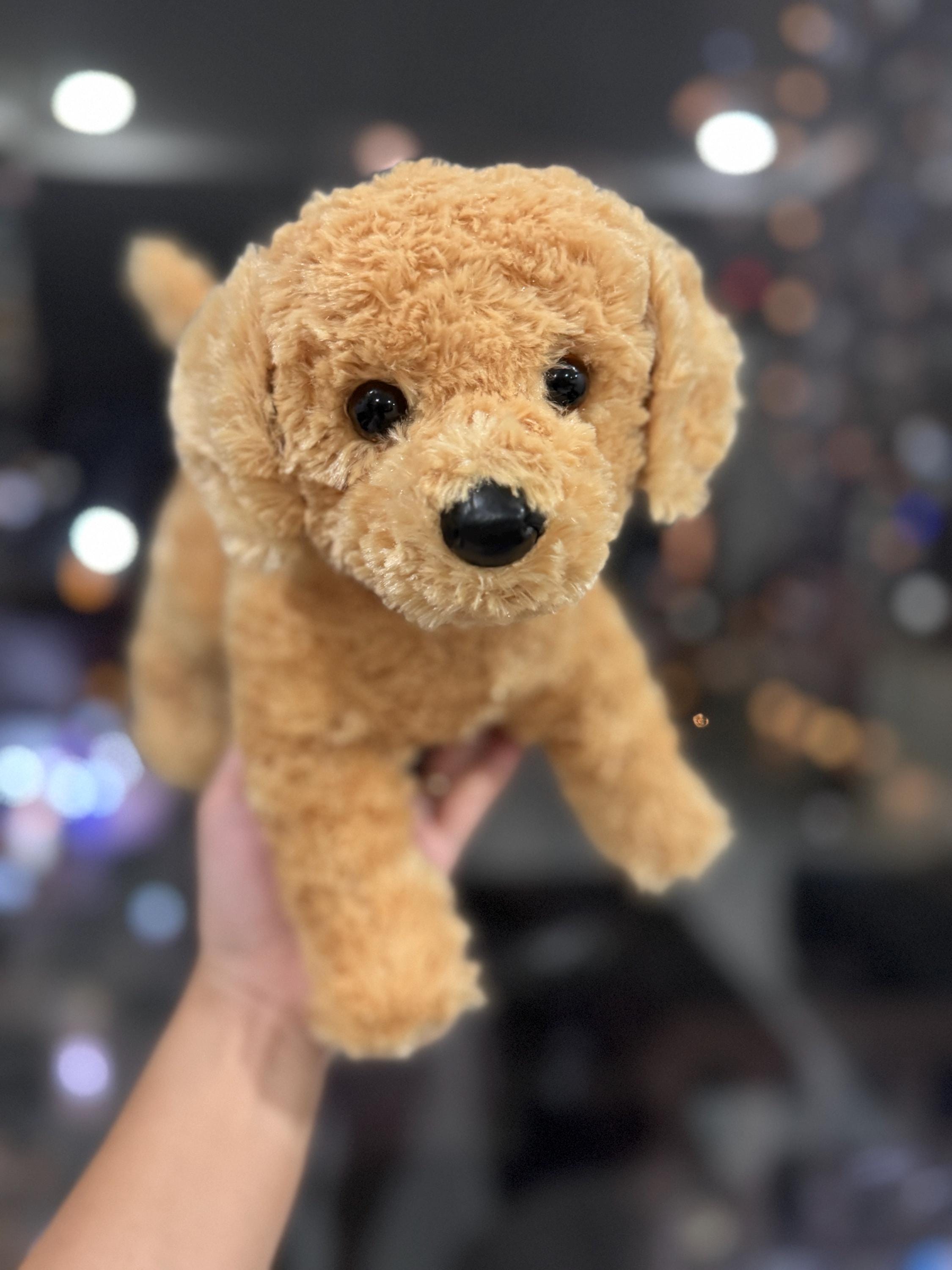 Douglas Charles Golden Retriever Kohair Puppy Dog Retired 1686 - Etsy