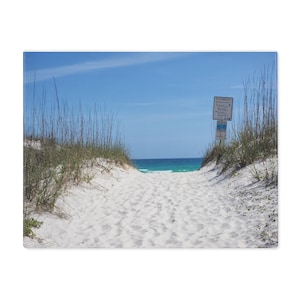 May include: A pathway of white sand leads to the turquoise ocean under a clear blue sky. Tall green sea grass lines the sides of the path. A sign is visible on the right side of the path.