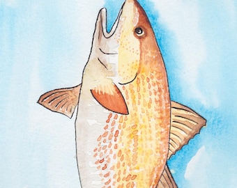 Redfish Watercolor Print, Florida Fish Art, Coastal Wall Decor, Fishing Gift