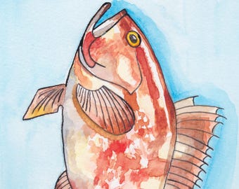 Grouper Watercolor Print, Florida Fish Art, Coastal Wall Decor, Fishing Gift
