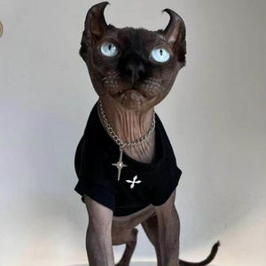 Personalized Cross Print Cat Top,Fashionable Pet T-Shirt,A unique gift for your beloved pet, Black/White Kitten Outfit