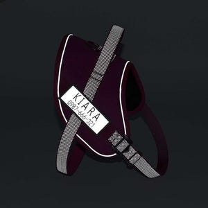 Pettorina riflettente personalizzata per cani con patch personalizzata ed etichetta rimovibile, pettorina per animali domestici con nome inciso personalizzabile, alternativa al collare per cani