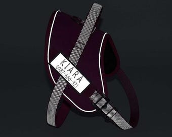 Arnés reflectante personalizado para perros con parche personalizado y etiqueta extraíble, arnés para mascotas personalizable con nombre grabado, alternativa al collar para perros.