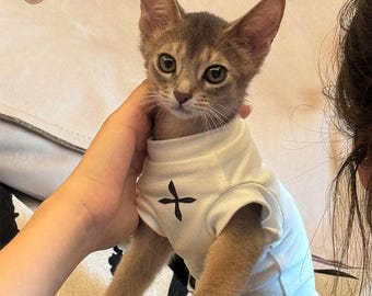 Camiseta personalizada con estampado de cruz para gatos, camiseta de moda para mascotas, un regalo único para tu querida mascota, conjunto para gatitos en blanco y negro.