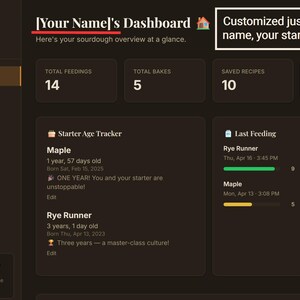 Op de afbeelding: Een donkerbruine interface van het dashboard voor zuurdesem met witte tekst. Het dashboard toont gegevens over voedingen, bakken, opgeslagen recepten en bakbeoordelingen. Het houdt ook de leeftijd van de starter en de laatste voedingstijden bij.