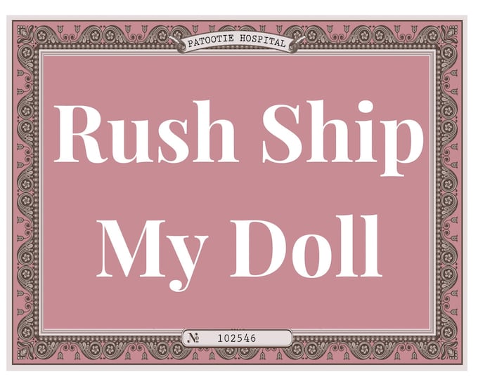 Ship Within 12 HOURS - Rush Order - Christmas Gift Fast Shipping -  Priority Shipment For a Gift - Reborn Baby Doll Weighted Newborn