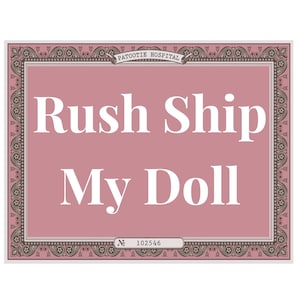 Ship Within 12 HOURS - Rush Order - Christmas Gift Fast Shipping -  Priority Shipment For a Gift - Reborn Baby Doll Weighted Newborn
