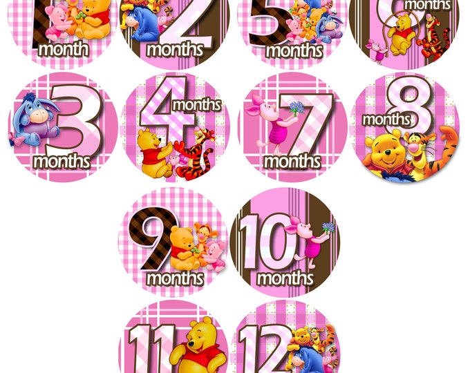 Monthly Baby Stickers WINNIE THE POOH 1-12 Belly Sticker Baby Boy Blue Girl Purple Green Pink Month Sticker Month Milestone Sticker Nursery
