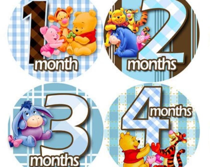 Monthly Baby Stickers WINNIE THE POOH 1-12 Belly Sticker Baby Boy Blue Girl Purple Green Pink Month Sticker Month Milestone Sticker Nursery