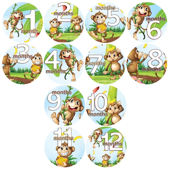 First Year Baby Stickers - Baby monthly stickers 1 to 12 months - Bodysuit Romper Stickers - Monthly Baby Stickers - SILLY MONKEYS