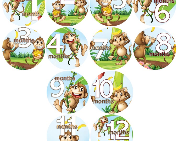 First Year Baby Stickers - Baby monthly stickers 1 to 12 months - Bodysuit Romper Stickers - Monthly Baby Stickers - SILLY MONKEYS