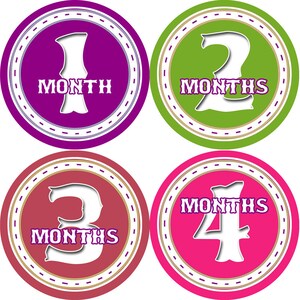 Baby monthly stickers 1 to 12 months - month to month baby stickers - Bodysuit Romper Stickers - Monthly Baby Stickers - GIRLS CIRCLES