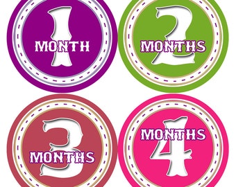 Baby Girl Monthly Stickers: 1-12 Month Bodysuit Photo Prop