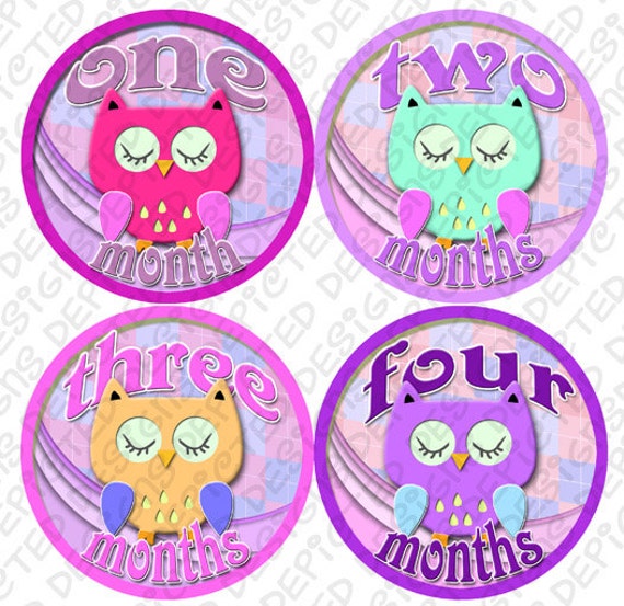 Baby Month Stickers - First Year Belly Stickers - Baby Month Stickers - Month to Month Stickers for Baby - Baby Shower Stickers GIRL OWLS