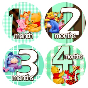 Winnie the Pooh Baby Monthly Milestone Stickers: 1-12 Months - Etsy