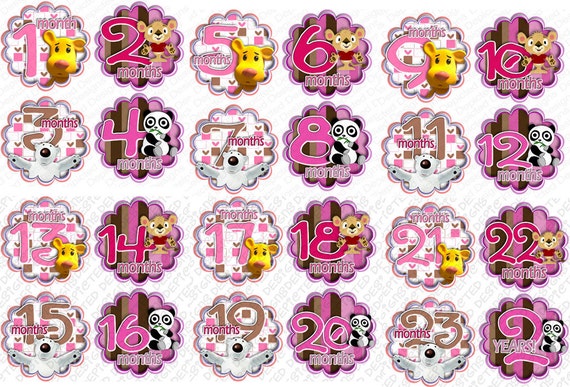 Monthly Baby Stickers - Month to Month baby stickers - Baby monthly stickers 1 to 24 months - Bodysuit Romper Stickers - HUGGY BEARS