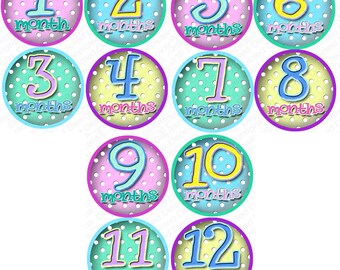 Polka Dot Baby Monthly Stickers 1-12 Months