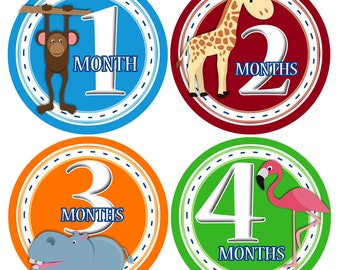 Safari Baby Monthly Stickers 1-12 Months: Bodysuit Photo Prop