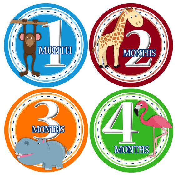 Baby Monthly Stickers 1 to 12 months Bodysuit Romper Stickers - Month to Month Baby Stickers Monthly Baby Stickers - SAFARI BOYS