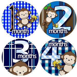 Monkey Baby Monthly Stickers 1-12 Months