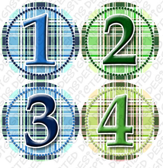 Monthly Baby Stickers - 1 to 12 months Baby Monthly Stickers - Bodysuit Romper Stickers - Month to Month Baby Stickers - BLUE GREEN GINGHAM