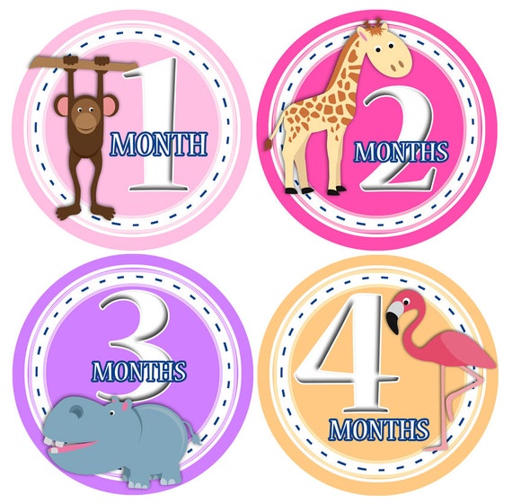 Baby Monthly Stickers 1 to 12 months Bodysuit Romper Stickers - Month to Month Baby Stickers Monthly Baby Stickers - SAFARI GIRLS JUNGLE