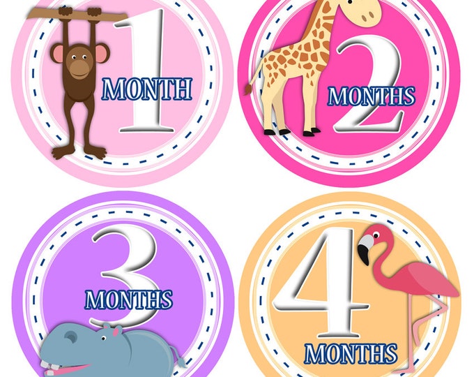 Baby Monthly Stickers 1 to 12 months Bodysuit Romper Stickers - Month to Month Baby Stickers Monthly Baby Stickers - SAFARI GIRLS JUNGLE