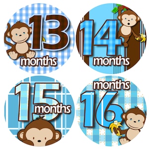 Pegatinas mensuales para bebés: 13-24 meses, temática de monos