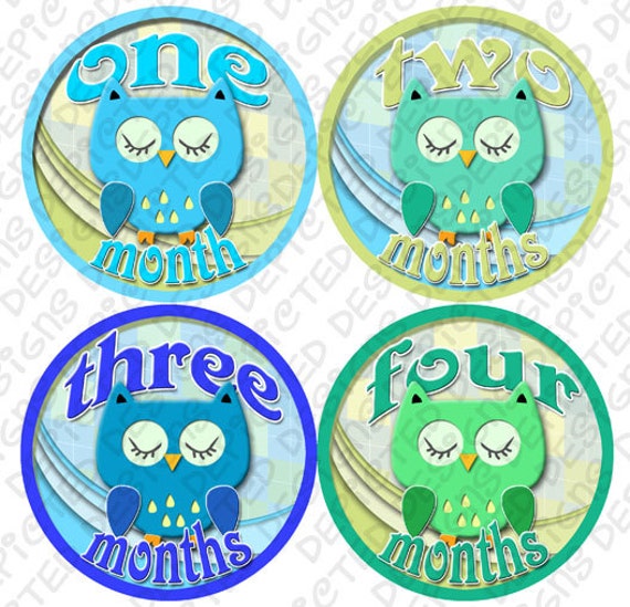 Bodysuit Romper Stickers - Monthly Baby Stickers - 1 to 12 months Baby Monthly Stickers - Month to Month Baby Stickers - BOYS OWLS