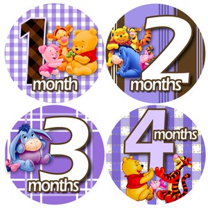 Winnie the Pooh Baby Monthly Milestone Stickers: 1-12 Months - Etsy