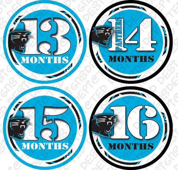 Monthly Baby Stickers - 13 to 24 months Baby Monthly Stickers - Bodysuit Romper Stickers - Month to Month Baby Stickers - PANTHERS