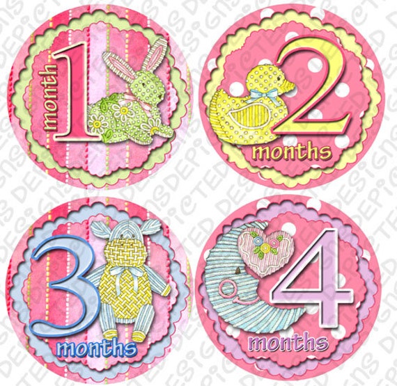 Baby Monthly Stickers 1 to 12 months Bodysuit Romper Stickers - Month to Month Baby Stickers Monthly Baby Stickers - STICHY STICKIES