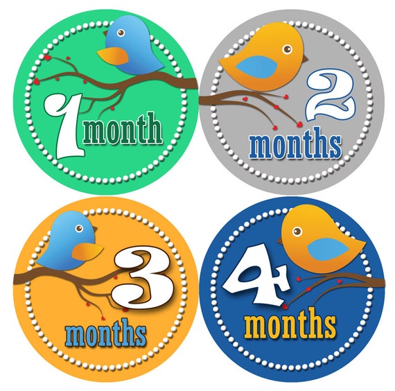 1 to 12 months Baby Monthly Stickers Bodysuit Romper Stickers - Month to Month Baby Stickers Monthly Baby Stickers - GREEN BANANA MONKEYS