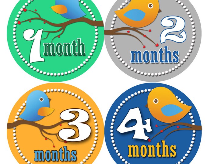 1 to 12 months Baby Monthly Stickers Bodysuit Romper Stickers - Month to Month Baby Stickers Monthly Baby Stickers - GREEN BANANA MONKEYS