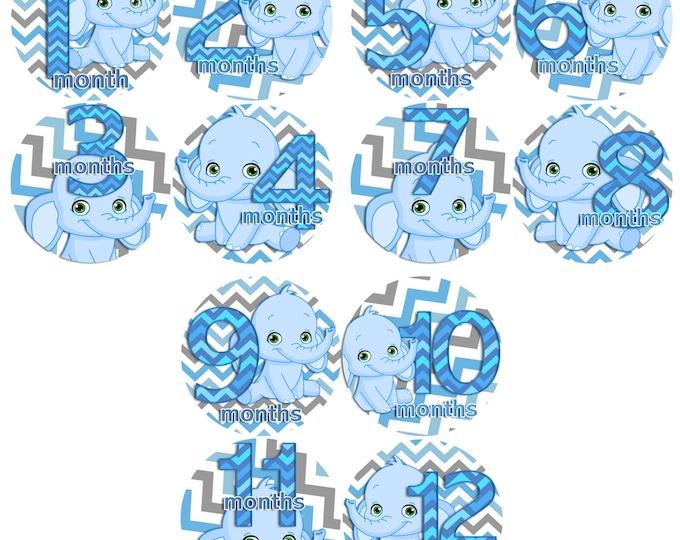 Baby Monthly Stickers 1 to 12 months Bodysuit Romper Stickers - Month to Month Baby Stickers Monthly Baby Stickers - BLUE CHEVRON ELEPHANTS