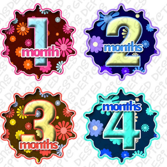 Monthly Baby Stickers - Baby monthly stickers 1 to 12 months - month to month baby stickers - Bodysuit Romper Stickers - HIBISCUS