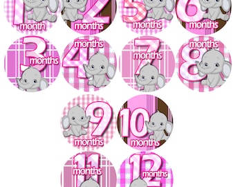 Pink Elephant Baby Monthly Stickers 1-12 Months