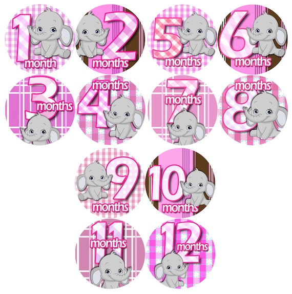 Month to Month baby stickers - Baby monthly stickers 1-12 months - Bodysuit Romper Stickers - Monthly Baby Stickers - GREY PINK ELEPHANTS