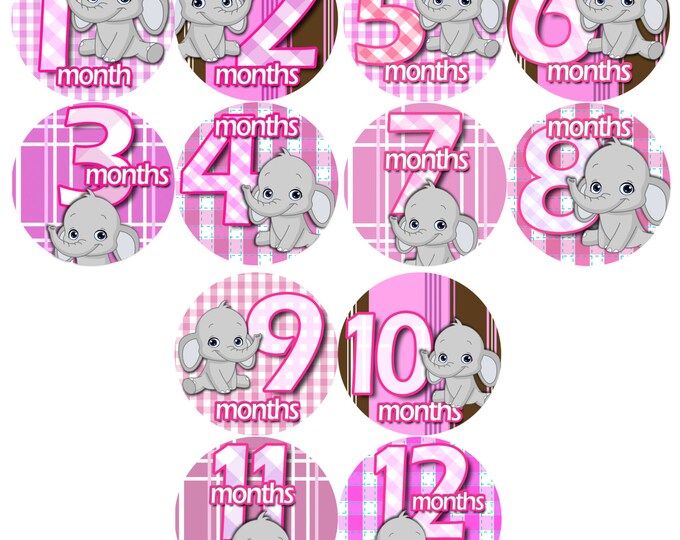 Month to Month baby stickers - Baby monthly stickers 1-12 months - Bodysuit Romper Stickers - Monthly Baby Stickers - GREY PINK ELEPHANTS